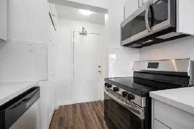 94 Beck Apartments - Renovated 1 Bedroom Apartment for Rent Image# 1
