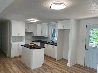 Appartement 3 CC Complètement Rénové Image# 4