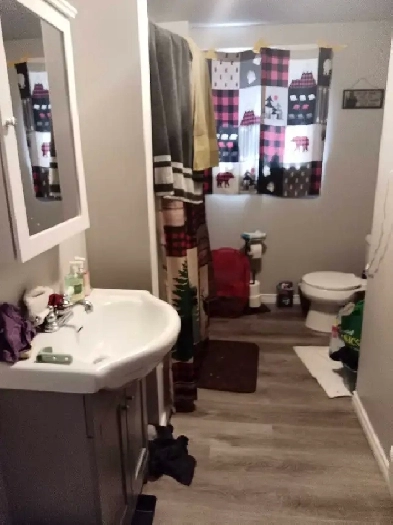 room for rent Image# 4