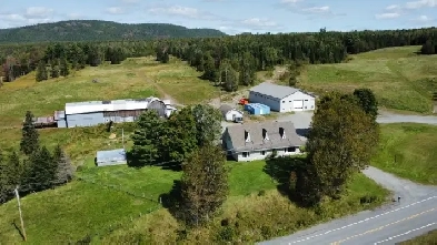 St-Julien, fermette de 3 acres avec garage commercial Image# 4