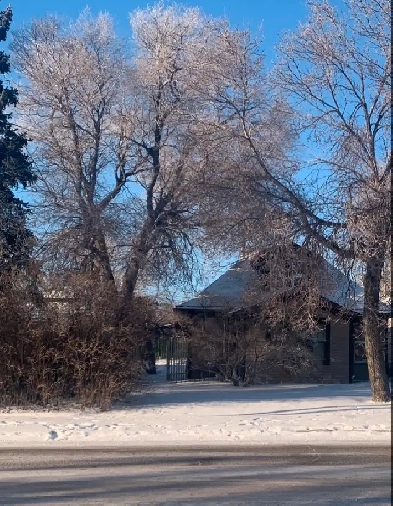 Lot for sale in Kindersley $70,000 Image# 1