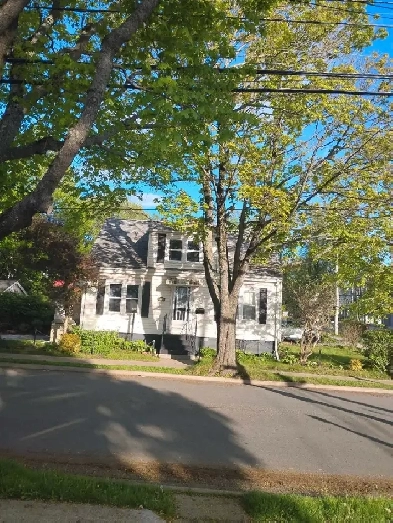 rooms for rent 850 obo Image# 1