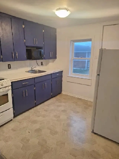 1 bdr apartment for rent Summerside Image# 8
