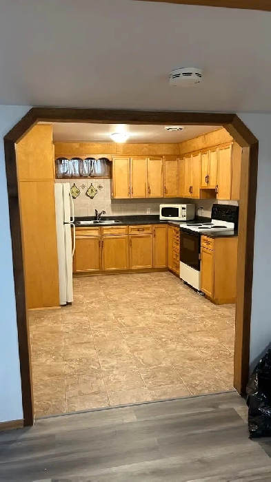 Large 1200 square-foot basement apartment in Dawson Heights Image# 5