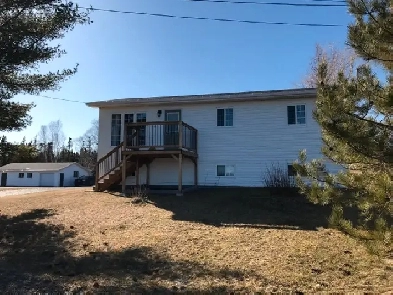 6 Birch Road, Clarkes Head, Gander Bay North Image# 4