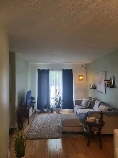 petit 3 1/2 à louer Image# 1