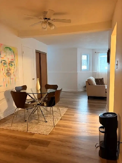 Beautiful 5 ½ Basement Apartment – Bright Well & Located Image# 4