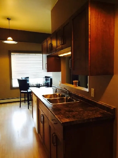'LOFT-STYLE' STUDIO CONDO FOR RENT - AVAILABLE JUNE 1st Image# 3