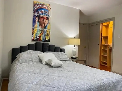 (Yonge and 16) (Short Term Ava.) Furnished Beautiful Modern Room Image# 3