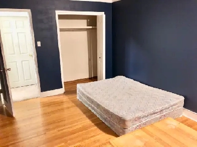 Super private main floor furnished room in Varsity, near UC &LRT Image# 1