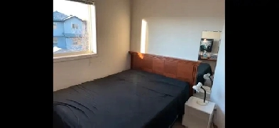 Room mate: clean, quiet 2nd floor room for rent near Panorama Image# 1