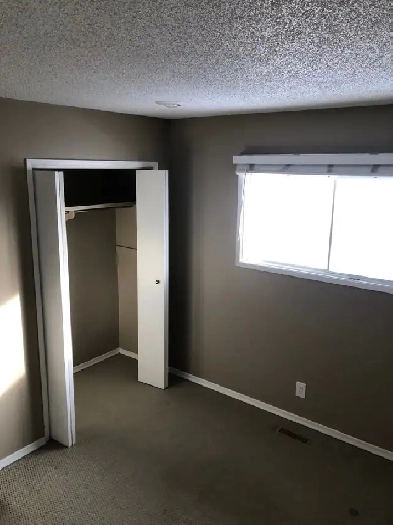 Looking for a Responsible Roommate Image# 1