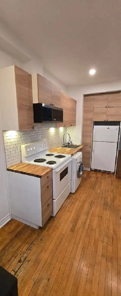 Promenades Ontario - 3 1/2 à louer chauffé meublé Image# 1