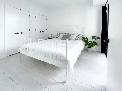 Furnished 1 Bedroom   Den condo for rent at Yonge and Bloor Image# 3