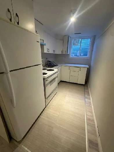 SUN FILLED THREE BEDROOM BASEMENT FOR RENT - NEWMARKET Image# 5