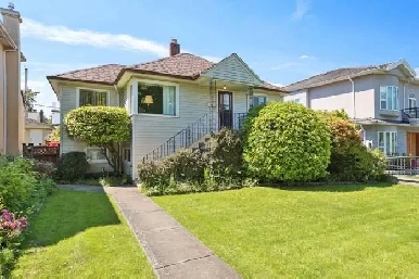Pretty Tree-Lined Street! Image# 9