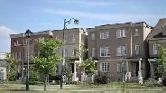 ROOM FOR RENT - YORK UNIVERSITY VILLAGE Image# 1