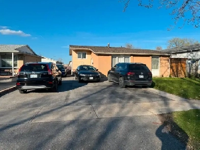 Bedroom for Rent for One Person in Malton, Mississauga Image# 3