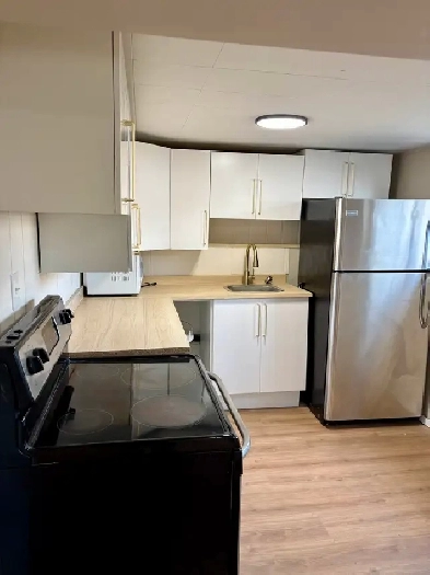 brand new bachelor suite in Steinbach Image# 2
