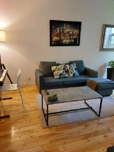 4 ½, renovated, heated   hot water, metro Vendome, July 1st Image# 10