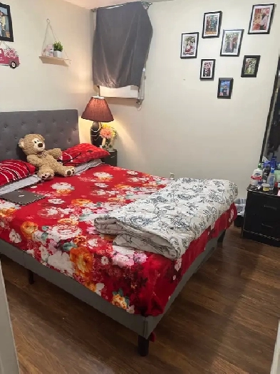2 Bedrooms Basement available for rent Image# 4