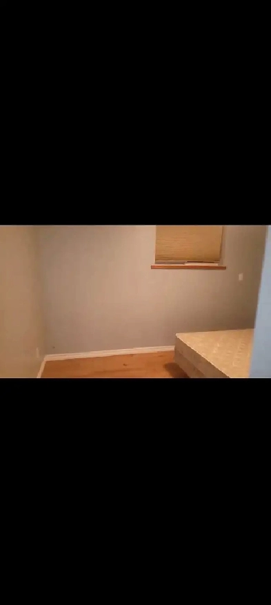 Basement Room for rent Image# 6