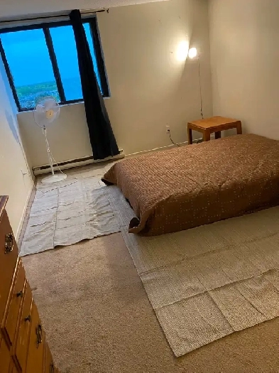 One Room for rent in 2-BR Apartment Image# 3