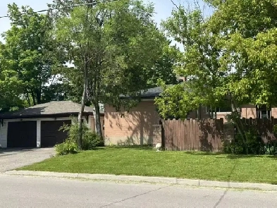 three bedrooms house to rent in Richmond Hill Image# 4