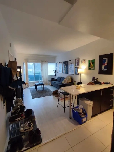 Spacious 1 Bedroom 3 1/2 apartment for Rent, Plateau-Mont-Royal Image# 1
