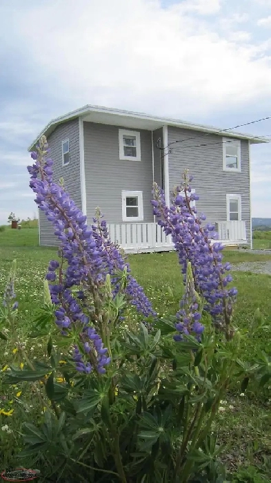 Fully Furnished 2 Bedroom House in Torbay Image# 1