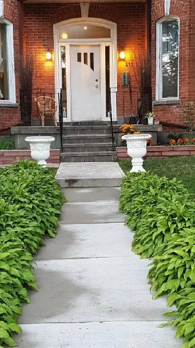 One bedroom clean and bright apartment is available for rent Image# 1