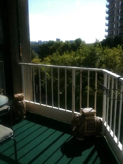 One bedroom downtown condominium for rent Image# 6