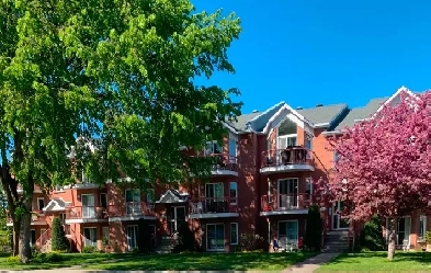 grand Logement style condo à louer à Boisbriand Image# 8