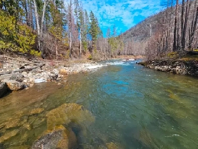 40 acres, No zoning, Shuswap! Riverfront and Lakeviews! 16  lots Image# 1