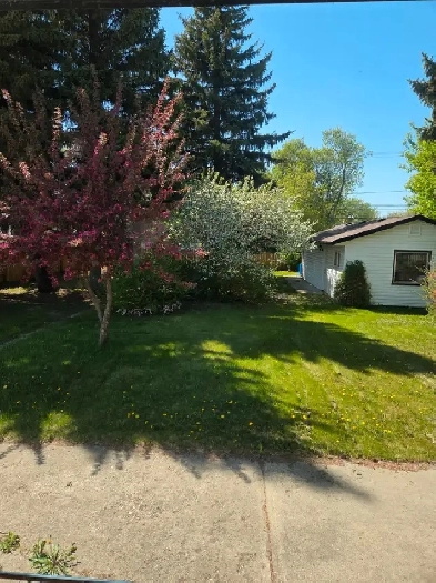 Room for Rent in Yorkton Image# 6
