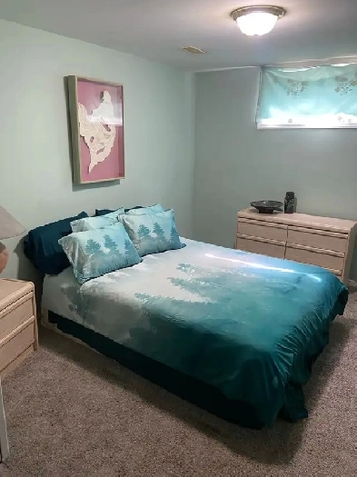 Basement suite available Image# 1