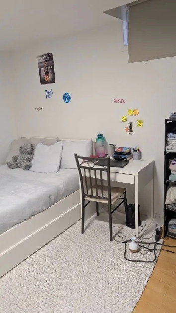 One single room in basement (Female preferred) Image# 5