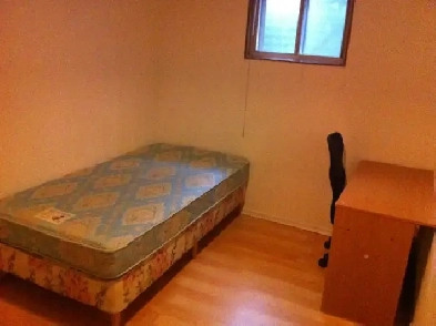 Finch&Victoria Park Room for Rent Image# 1