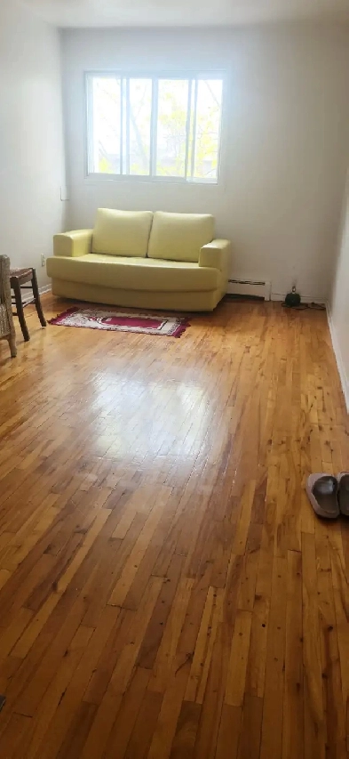 chambre a louer 1er juillet Image# 1