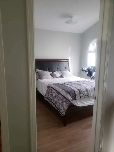 one room available in house Image# 1