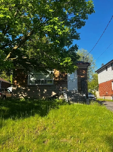 Room available for Rent Immediately Image# 3