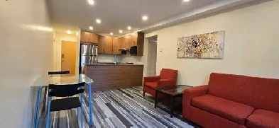 1 bedroom apartment Metro Pie IX 3 1/2 Image# 4