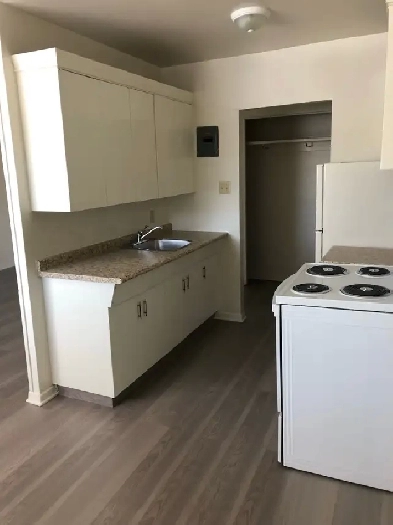 ELMWOOD AREA  RENOVATED LARGE 1 BDRM Image# 3