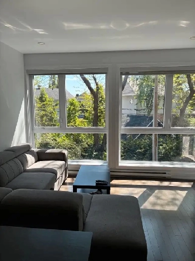 Condo 4 1/2 à louer Image# 3