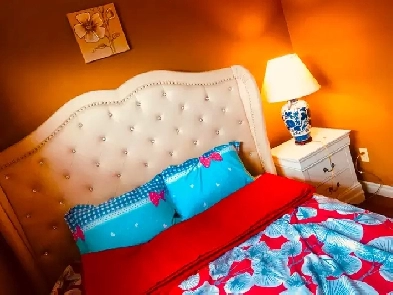 Beautiful one bedroom at victorial park and finch Image# 1