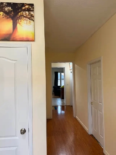 One Room For Rent Near York University $780 Sept 1st Image# 2