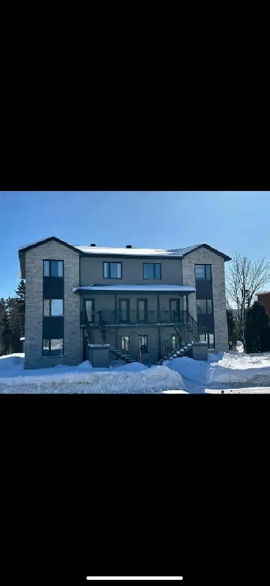 appartement  à louer lac Etchemin Image# 6