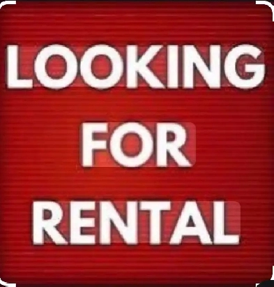 Business Seeking Long-Term Rental: 2–3 Bedroom House or Apartmen Image# 1