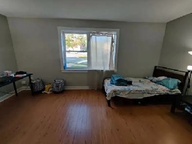 1 bedroom available for rent from July 1st Image# 1