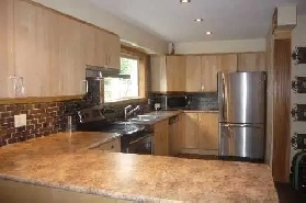 BRIGHT ROOM MAIN FL-50m TO PLAZA STEELES AND BATHURST NEAR BUS Image# 2
